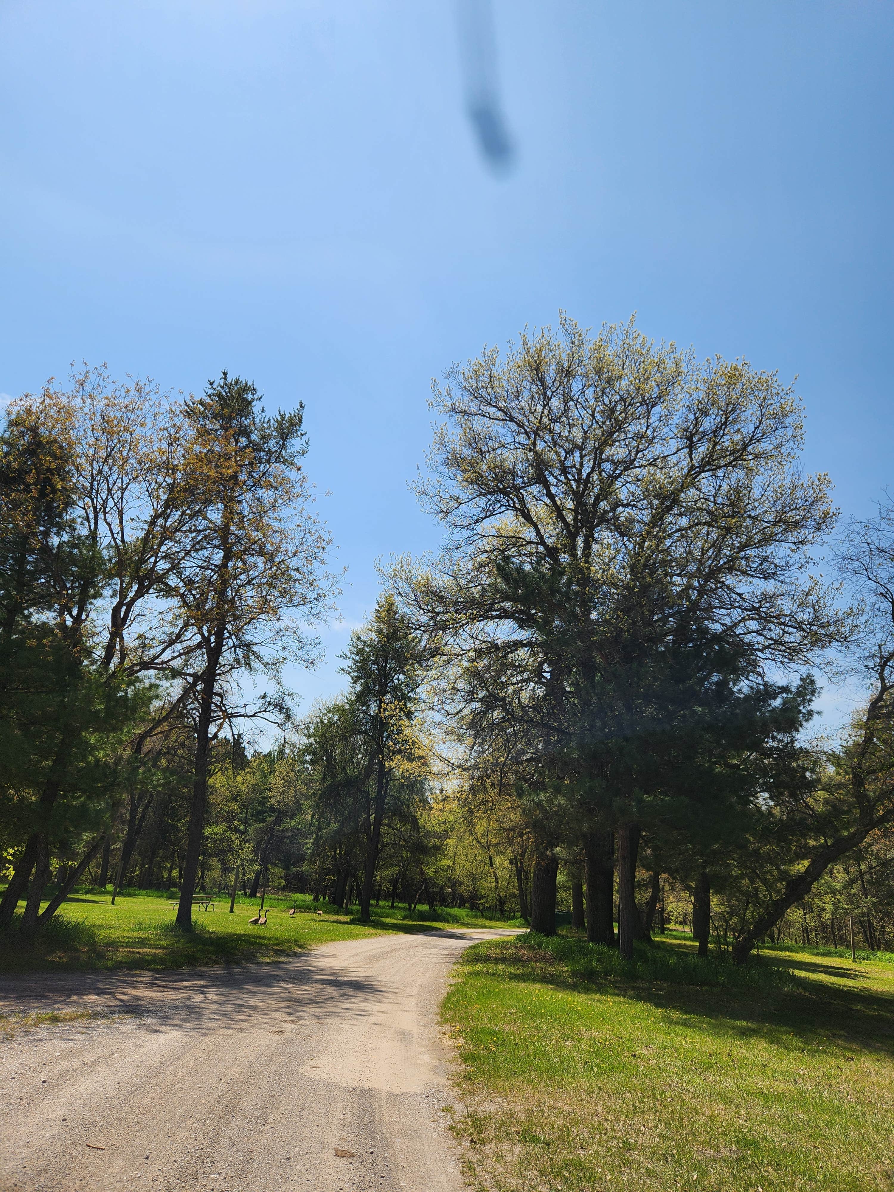 Camper-submitted photo at Goose Creek Trail Camp near Charlevoix, MI