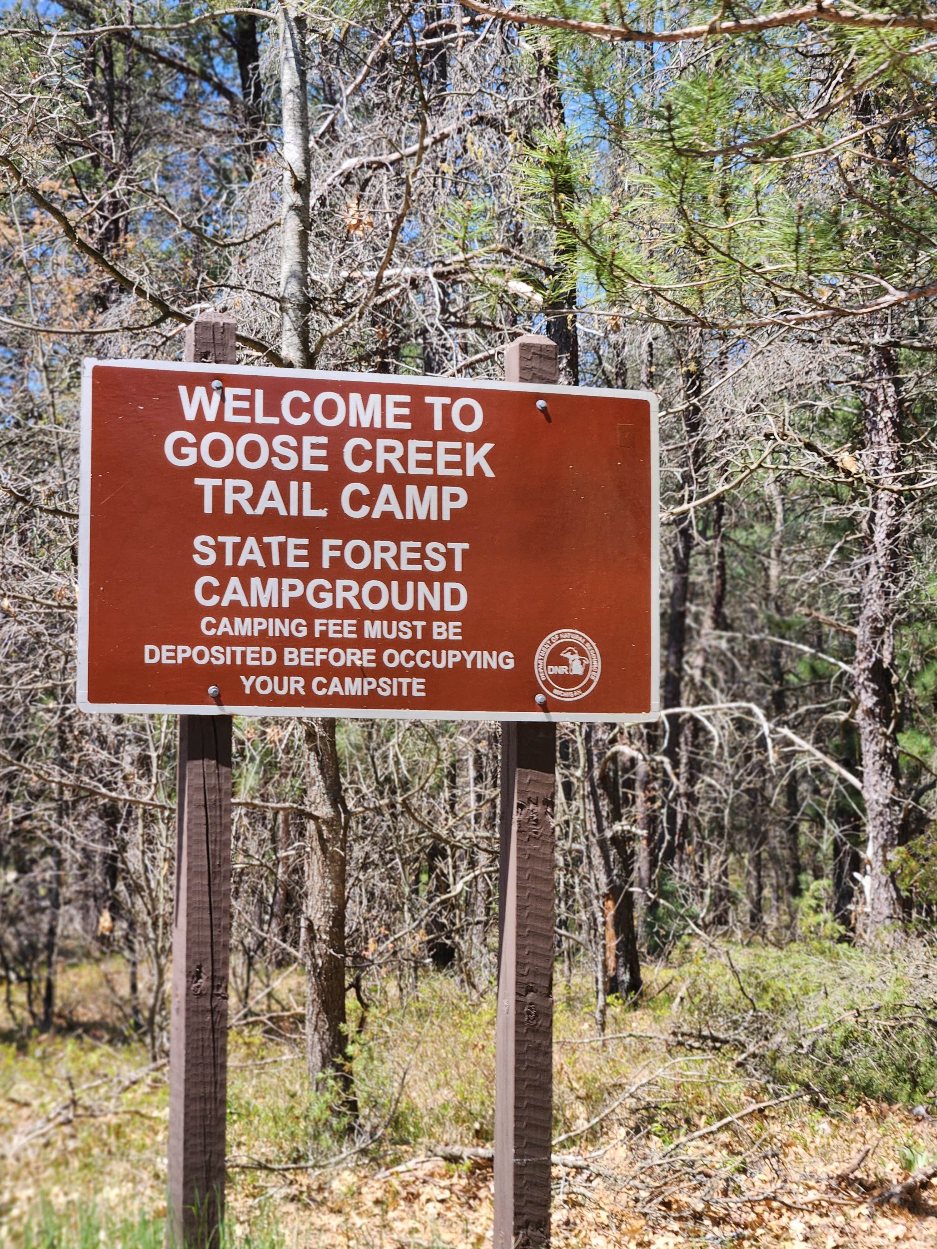 Camper submitted image from Goose Creek Trail Camp - 4