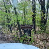 Review photo of Grass Lake State Forest Campground by Meghan B., May 20, 2026