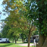 Review photo of Groveland Oaks County Park by Ginny , July 10, 2026