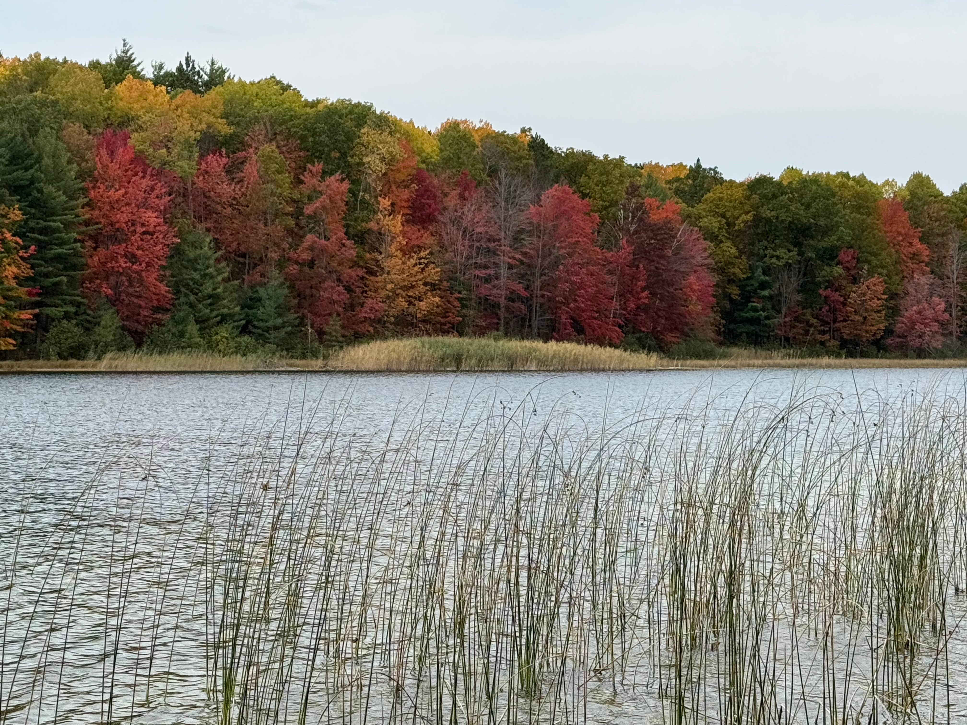 Camper-submitted photo at Guernsey Lake State Forest Campground near Alden, MI