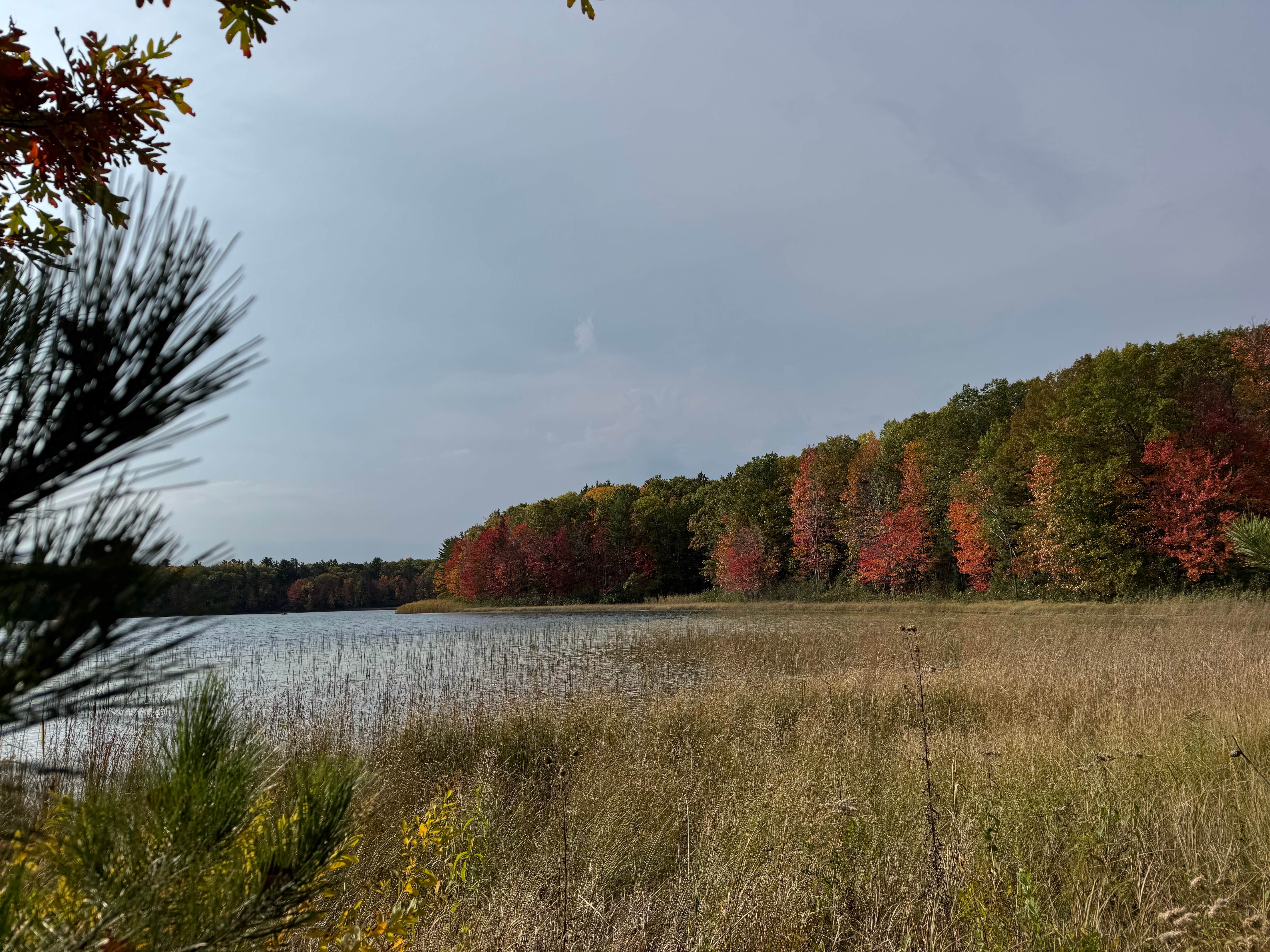 Camper-submitted photo at Guernsey Lake State Forest Campground near Alden, MI