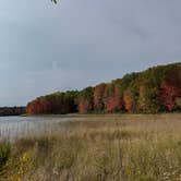Review photo of Guernsey Lake State Forest Campground by Erin F., October 19, 2025