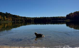Erin F.'s photo of camping with pets at Guernsey Lake State Forest Campground near Rapid City, MI