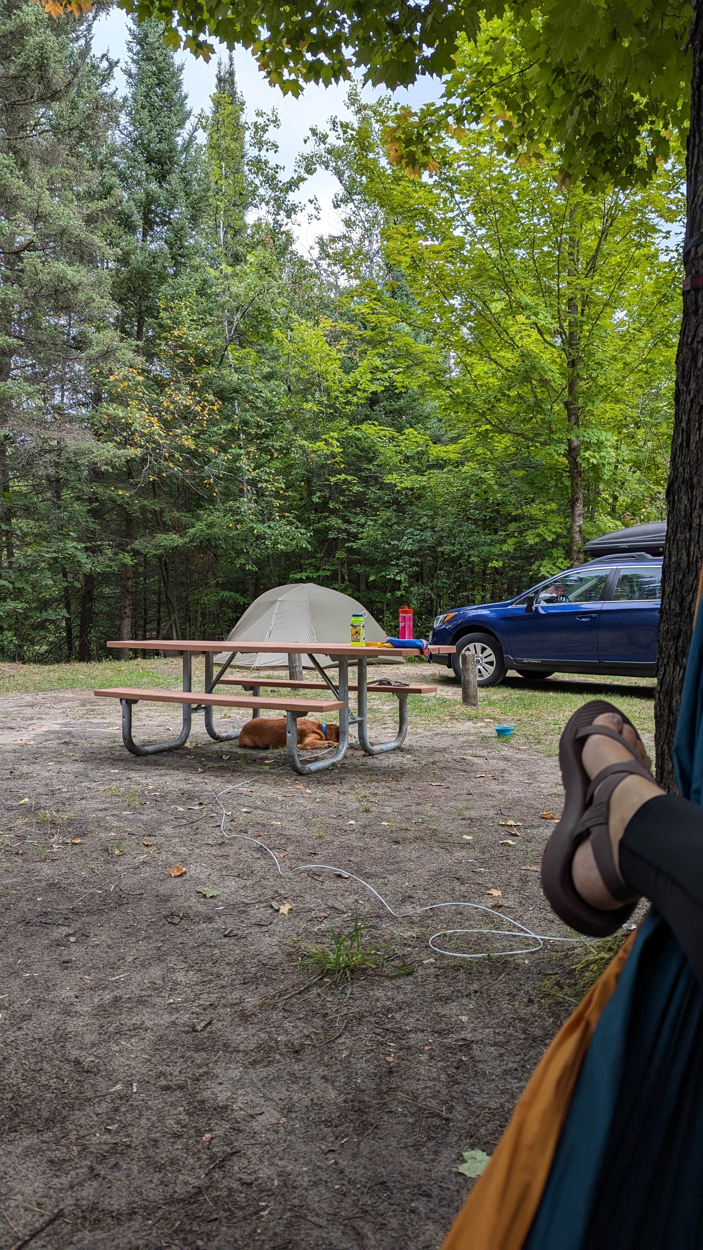 Camper-submitted photo at Haakwood State Forest Campground near Gaylord, MI
