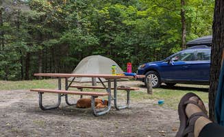 Hatcher's photo at Haakwood State Forest Campground near Alanson, MI