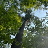 Review photo of Hartwick Pines State Park Campground by David L., August 24, 2026
