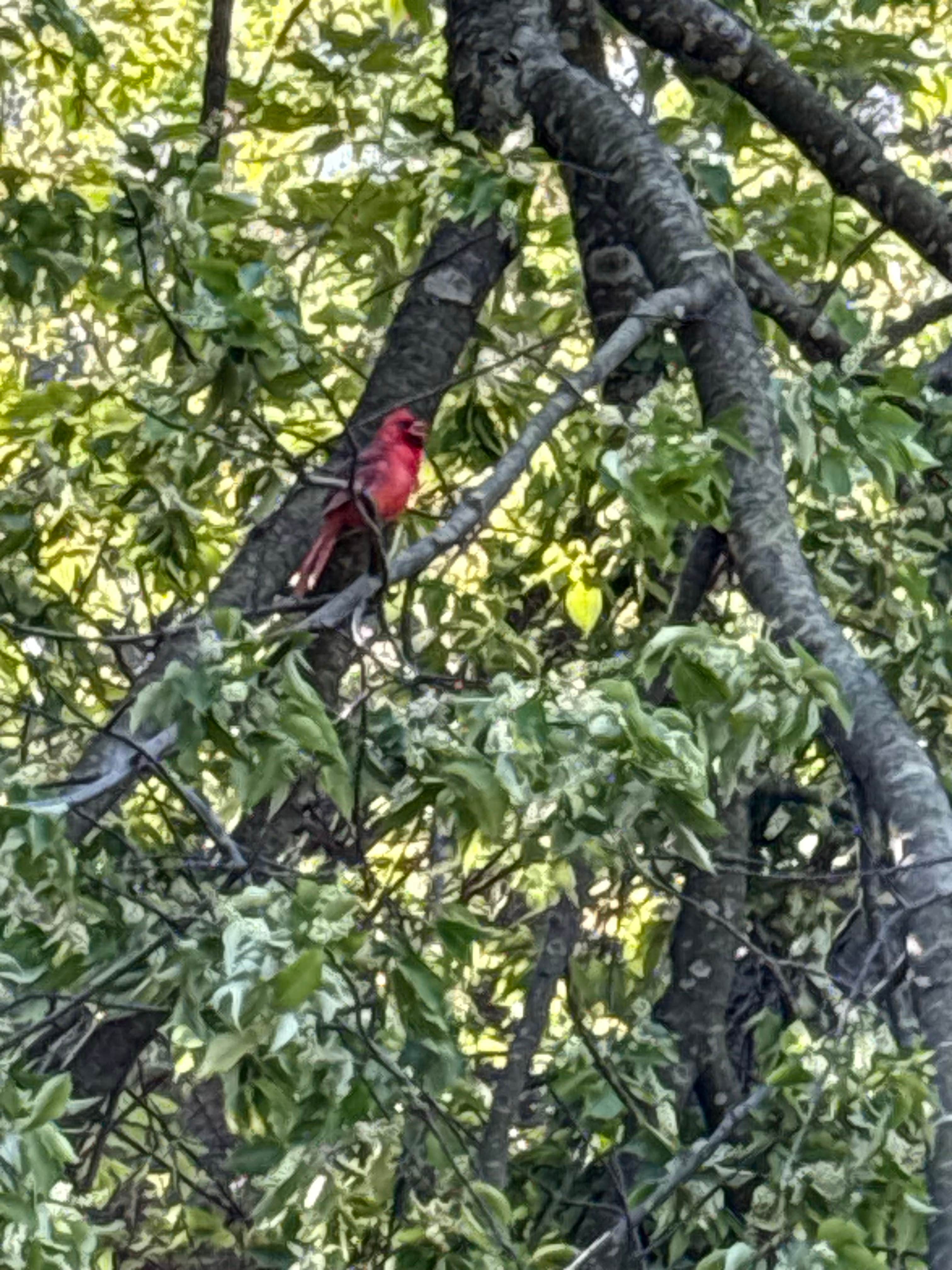 Camper-submitted photo at Lake Macatawa Campground — Holland State Park near Marne, MI