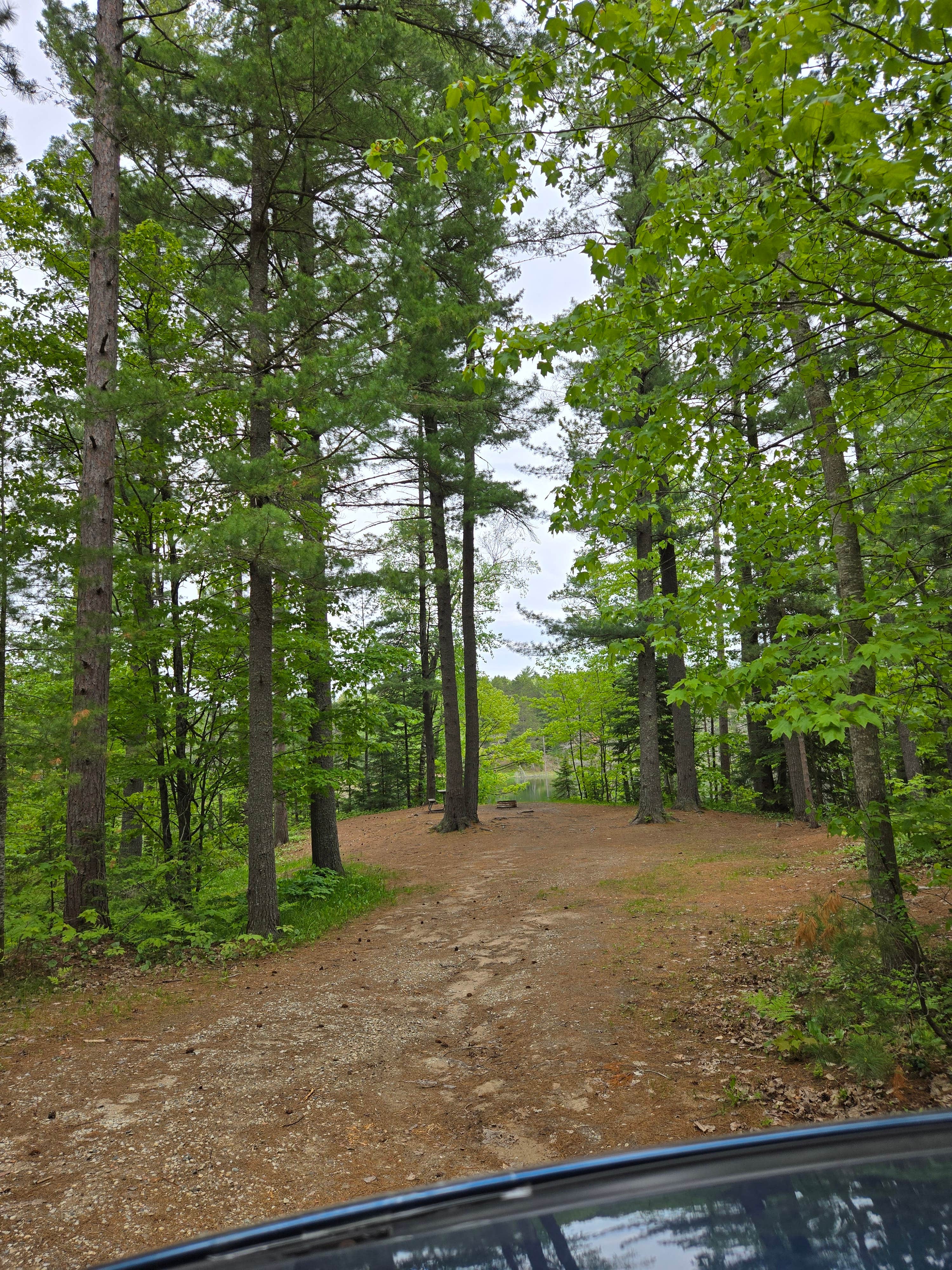 Camper submitted image from Holland Lake State Forest Campground - 1