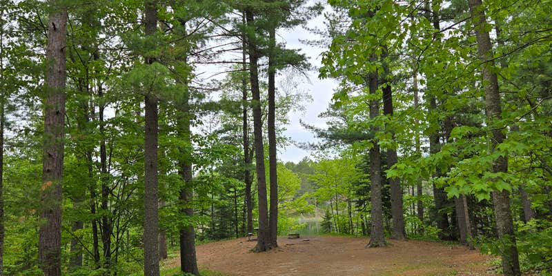 Camper submitted image from Holland Lake State Forest Campground