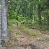 Review photo of Indian Lake Campground by Terry A., September 17, 2026