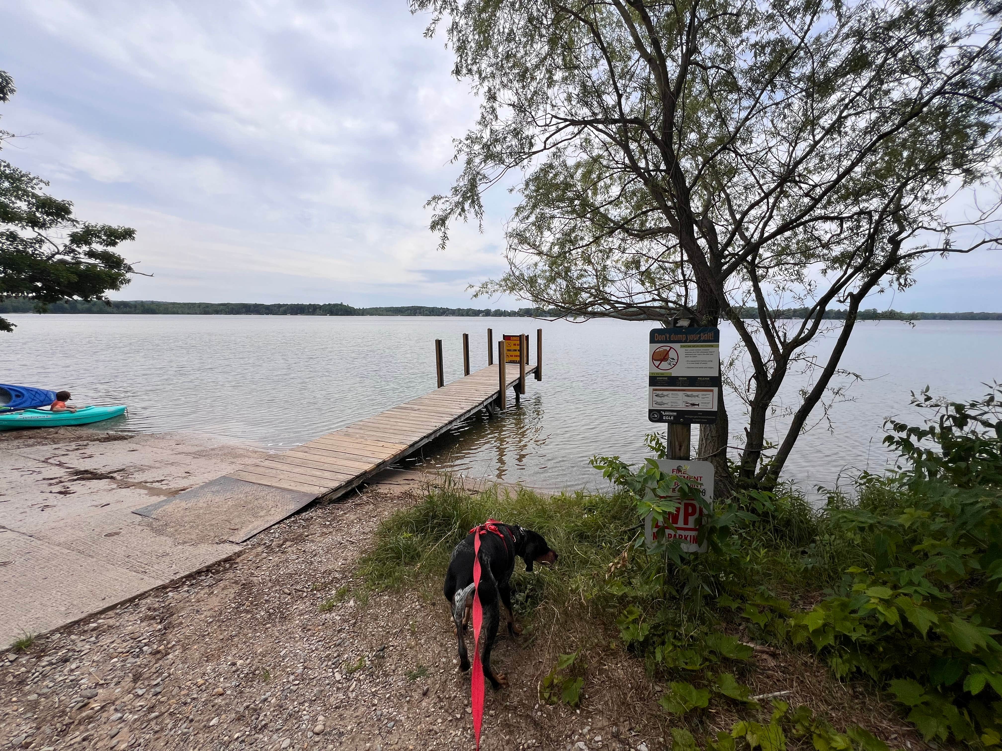 Gerard E.'s photo of camping with pets at Green Lake Rustic South — Interlochen State Park near Williamsburg, MI