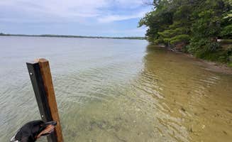 Gerard E.'s photo of camping with pets at Green Lake Rustic South — Interlochen State Park near Honor, MI