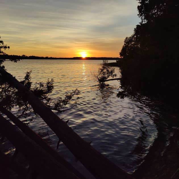 Green Lake Rustic South — Interlochen State Park Camping Interlochen, MI
