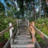 Review photo of Green Lake Rustic South — Interlochen State Park by Coral C., July 5, 2024