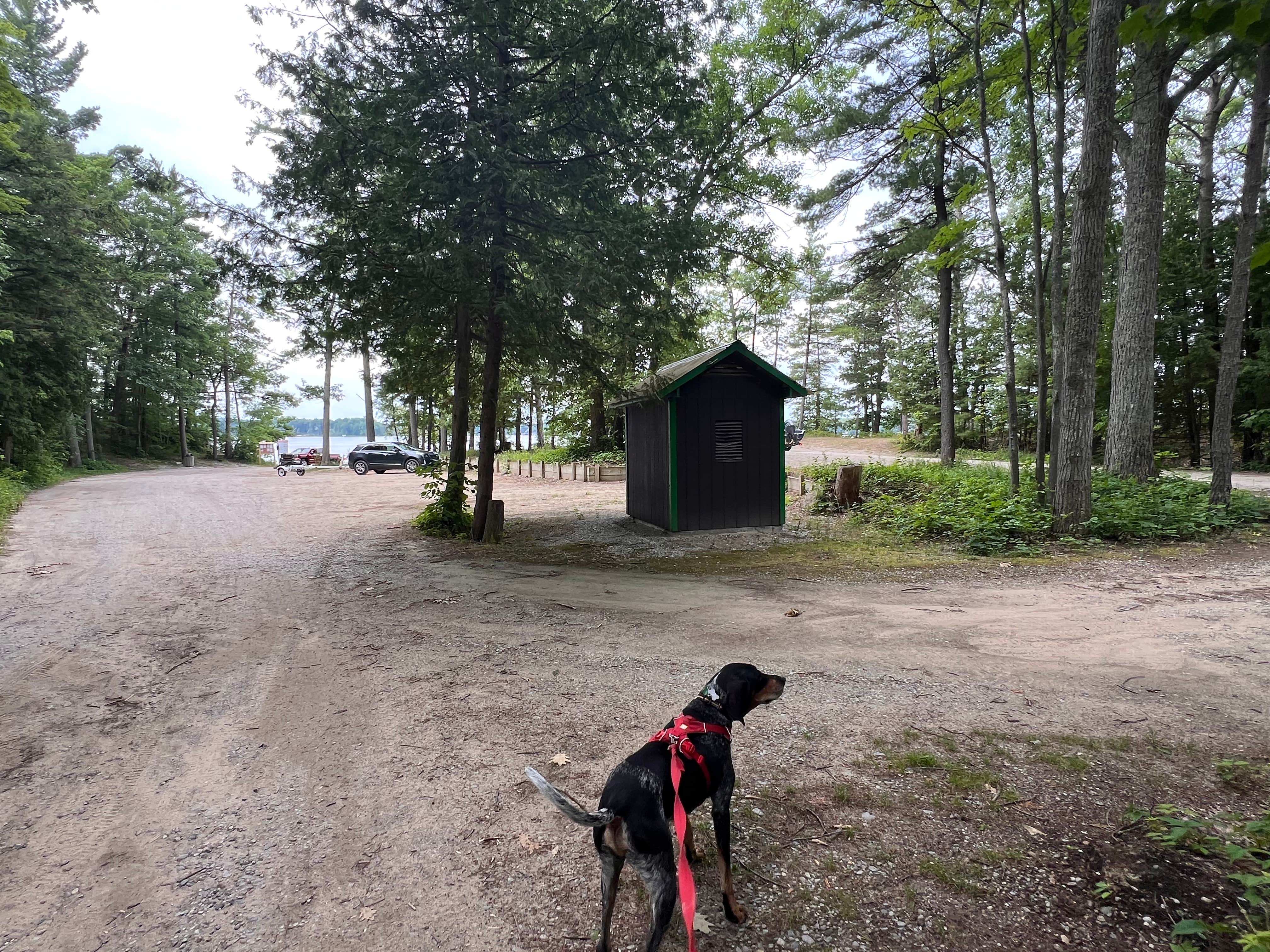 Gerard E.'s photo of a cabin at Green Lake Rustic South — Interlochen State Park near Maple City, MI