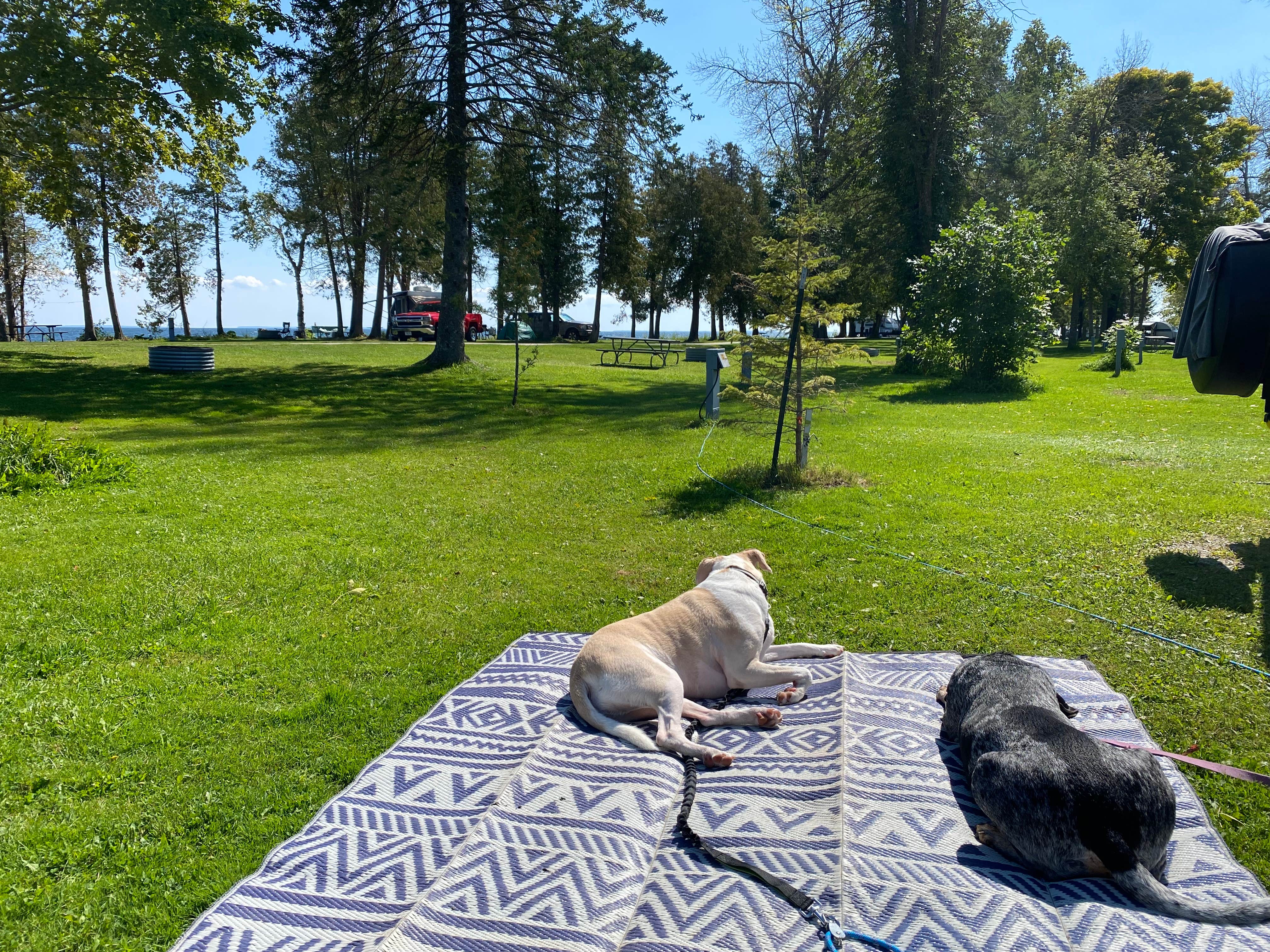 Camper-submitted photo at J.W. Wells State Park Campground near Sister Bay, WI