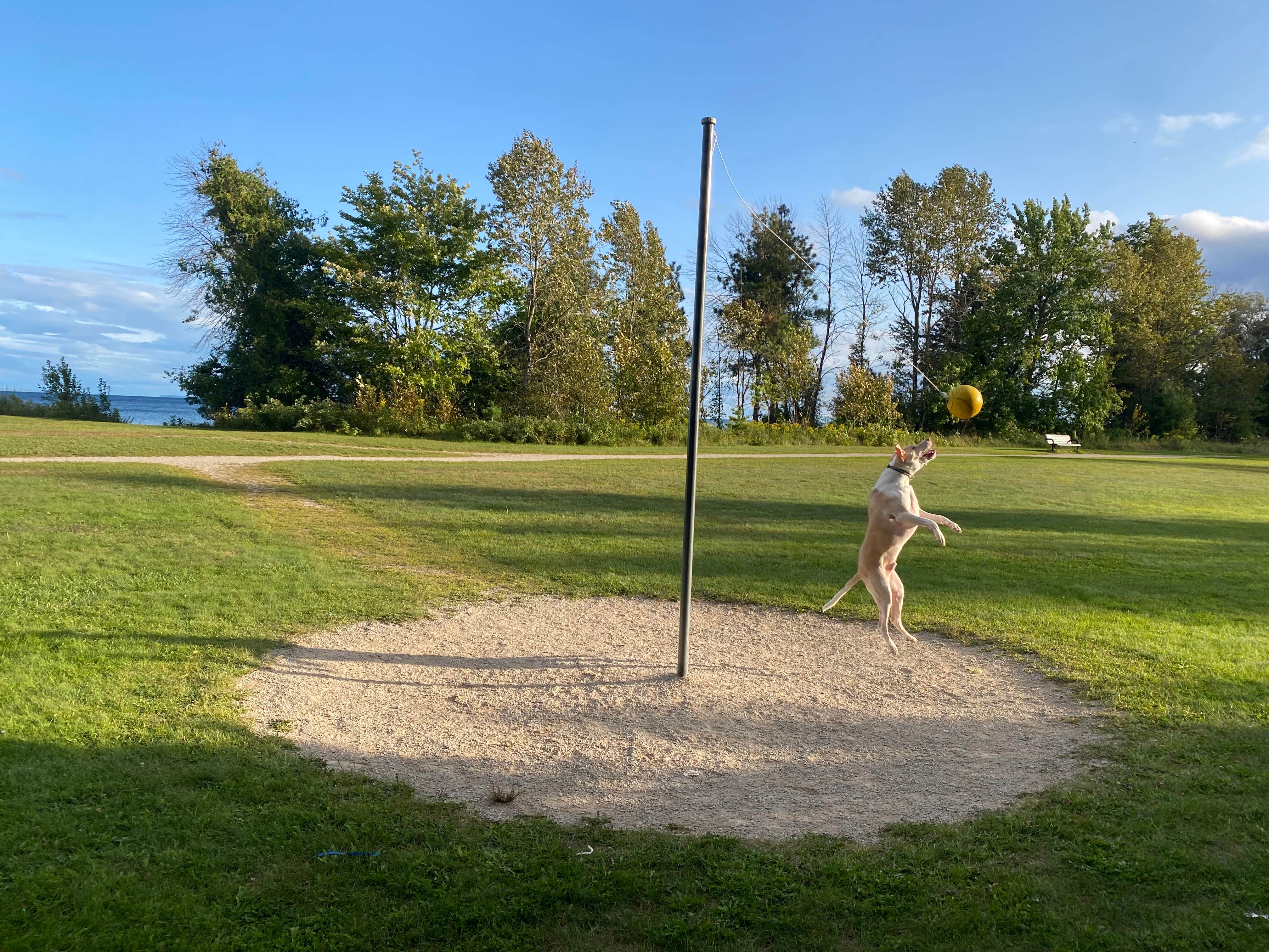 Camper-submitted photo at J.W. Wells State Park Campground near Sister Bay, WI