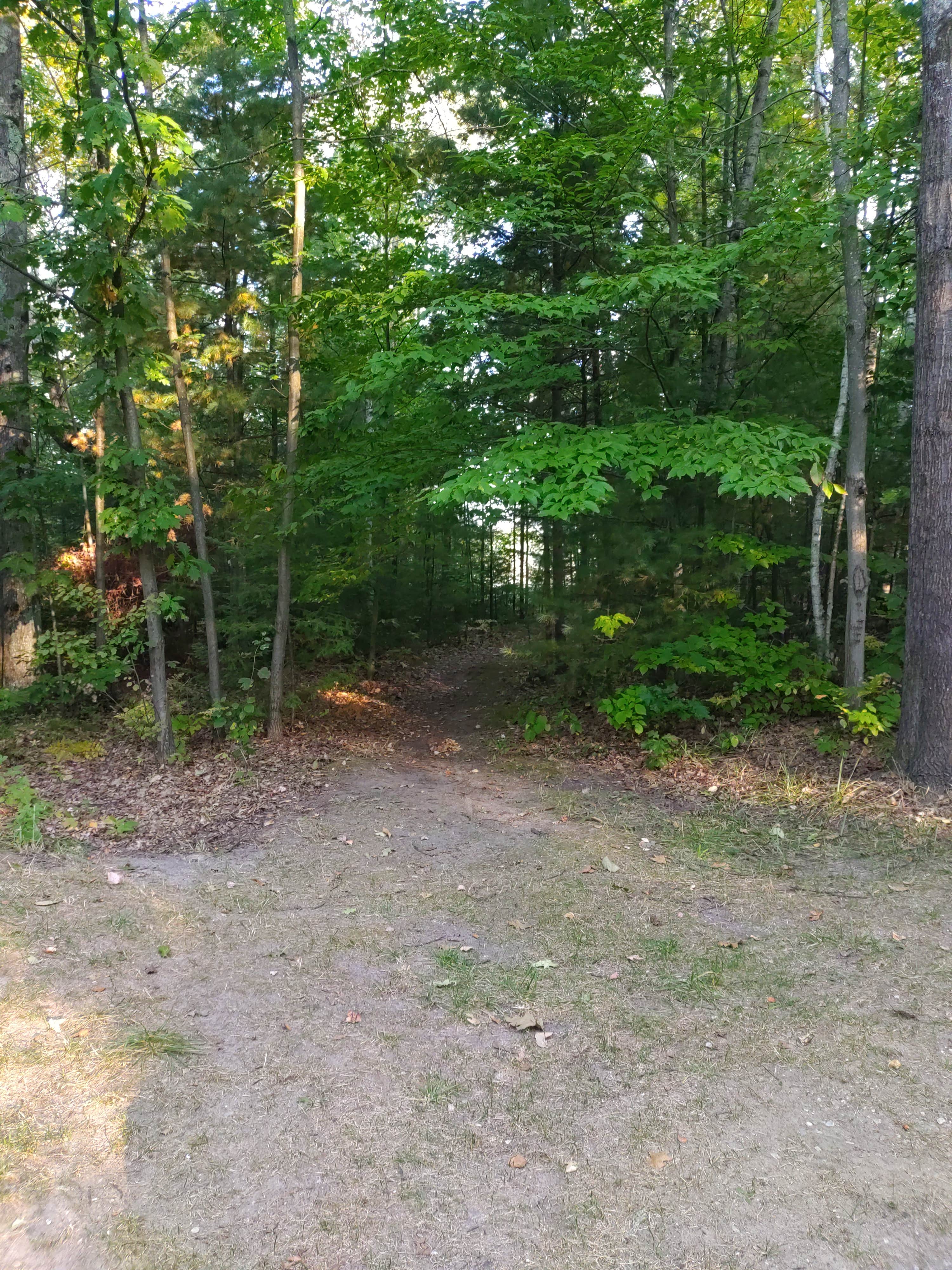 Camper-submitted photo at Jewell Lake Campground near Harrisville, MI