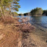 Review photo of Kingston Lake State Forest by Margaret R., May 15, 2025