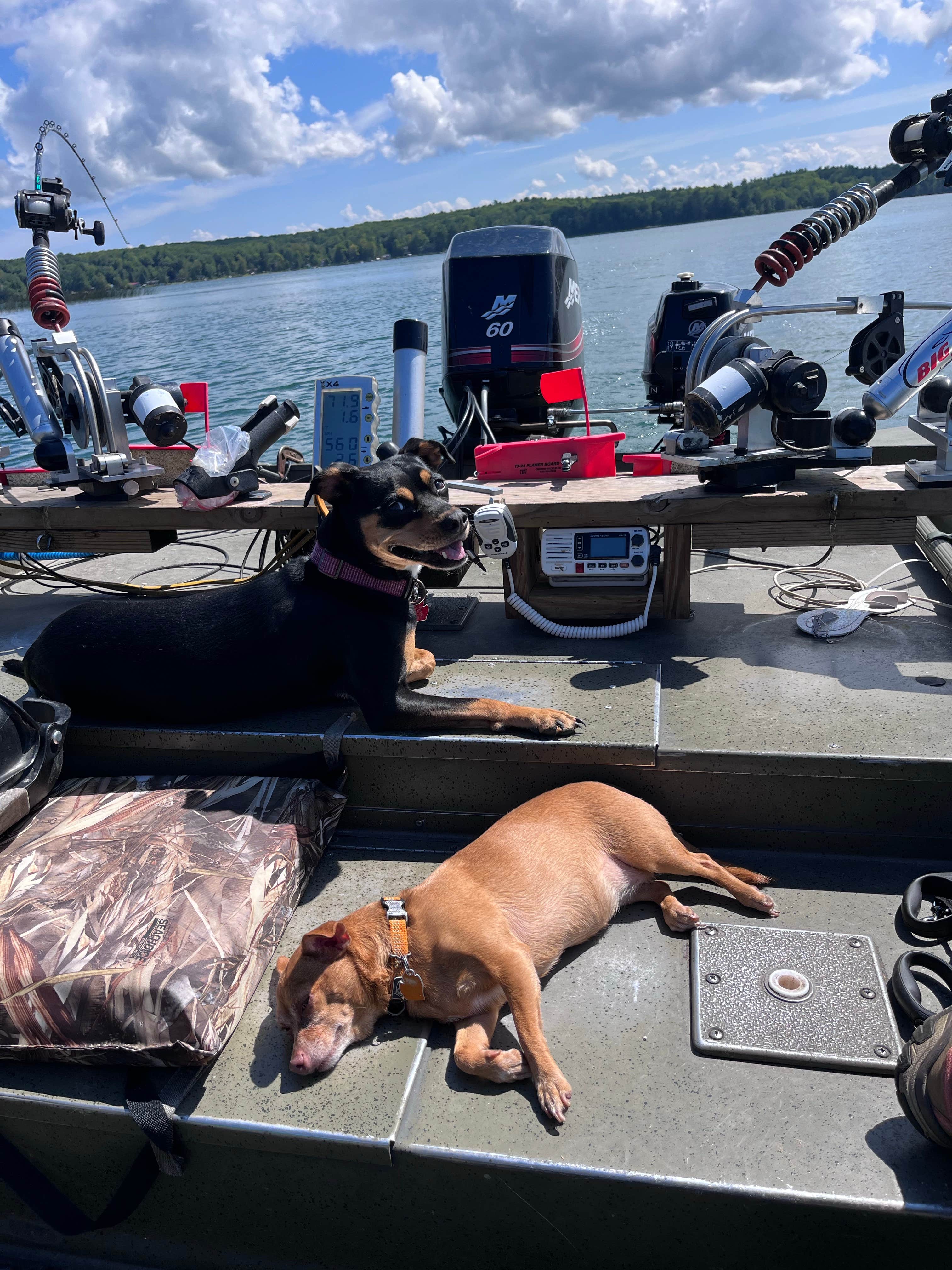 Paula S.'s photo of camping with pets at Lake Ann State Forest Campground near Suttons Bay, MI