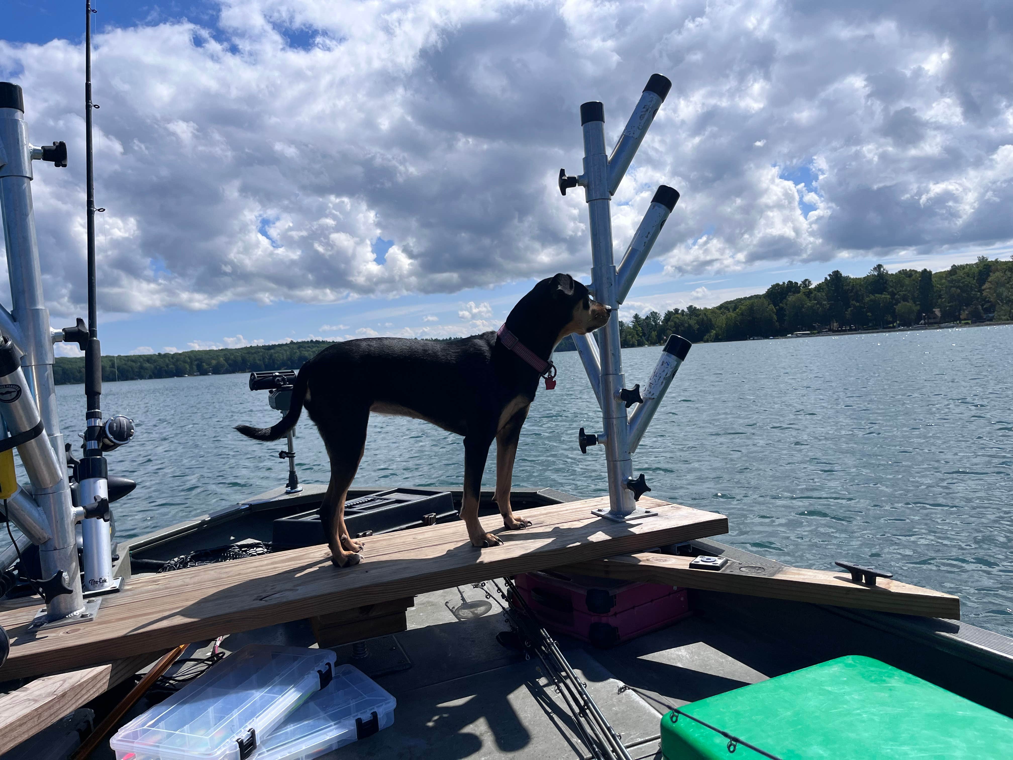 Paula S.'s photo of camping with pets at Lake Ann State Forest Campground near Empire, MI