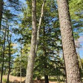 Review photo of Lake Margrethe State Forest Campground by Lydia T., May 21, 2024