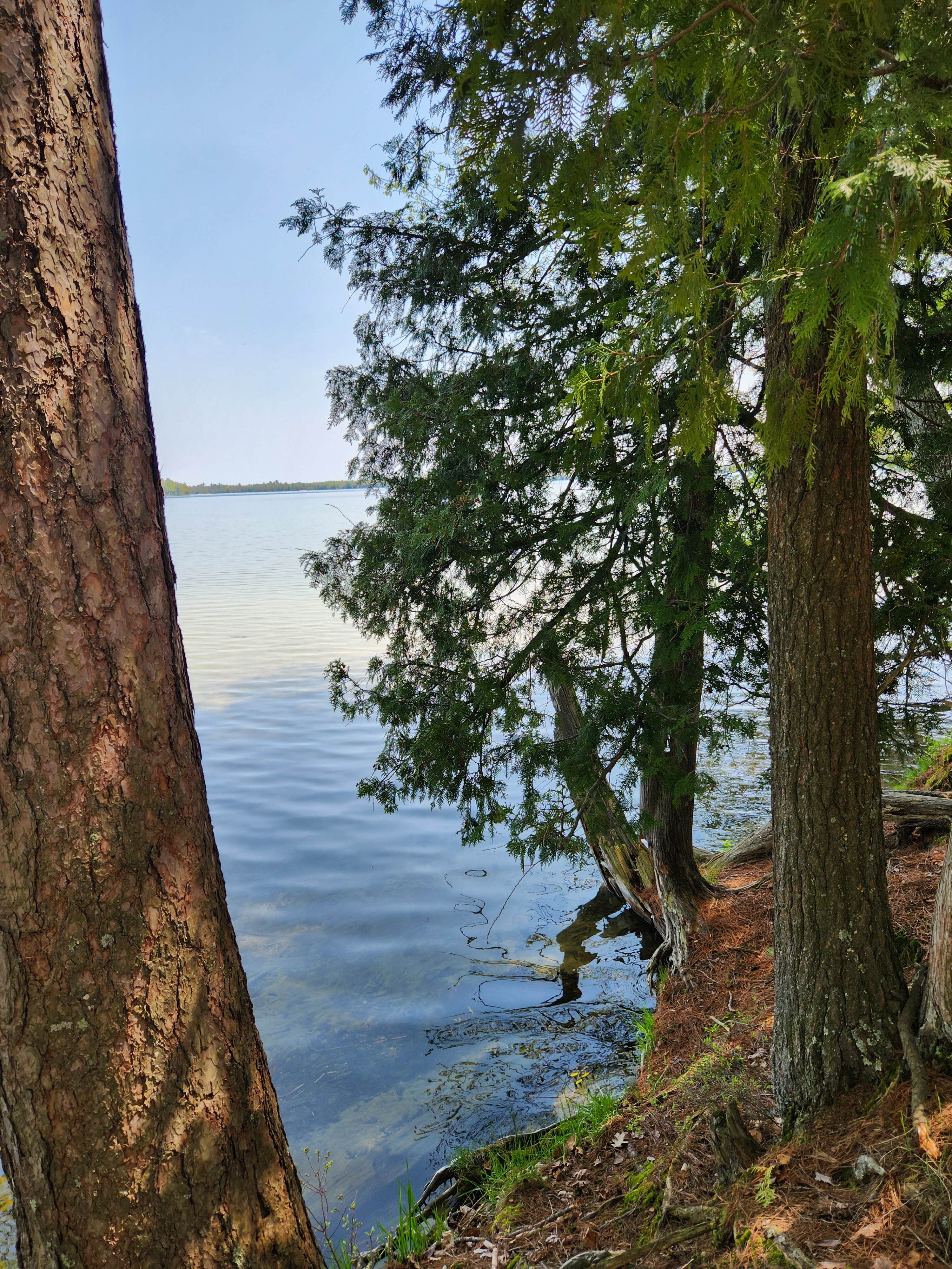 Camper-submitted photo at Lake Margrethe State Forest Campground near Grayling, MI