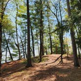 Review photo of Lake Margrethe State Forest Campground by Lydia T., May 21, 2024