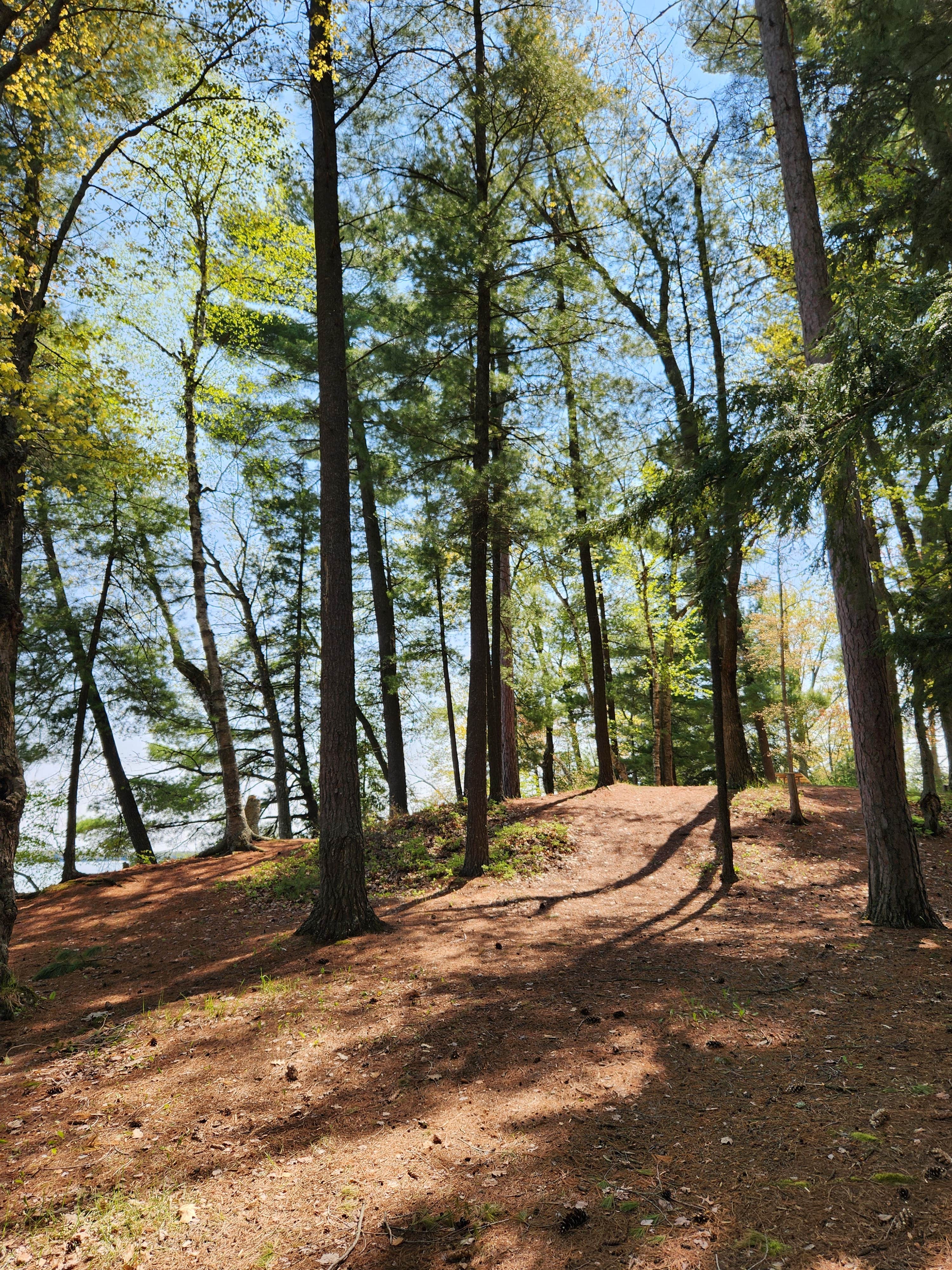 Camper submitted image from Lake Margrethe State Forest Campground - 5