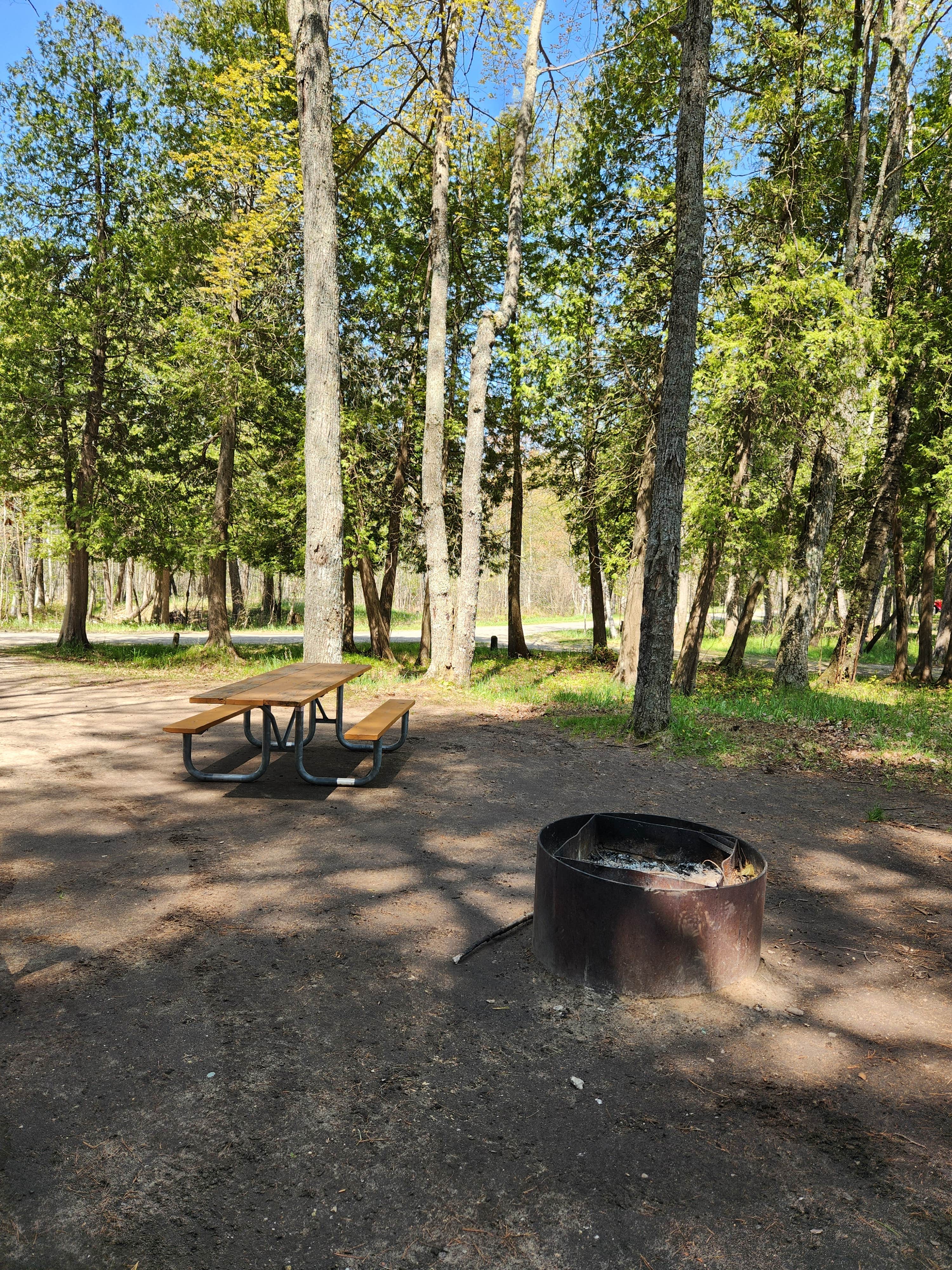 Camper-submitted photo at Lake Margrethe State Forest Campground near Grayling, MI