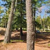 Review photo of Lake Margrethe State Forest Campground by Lydia T., May 21, 2024