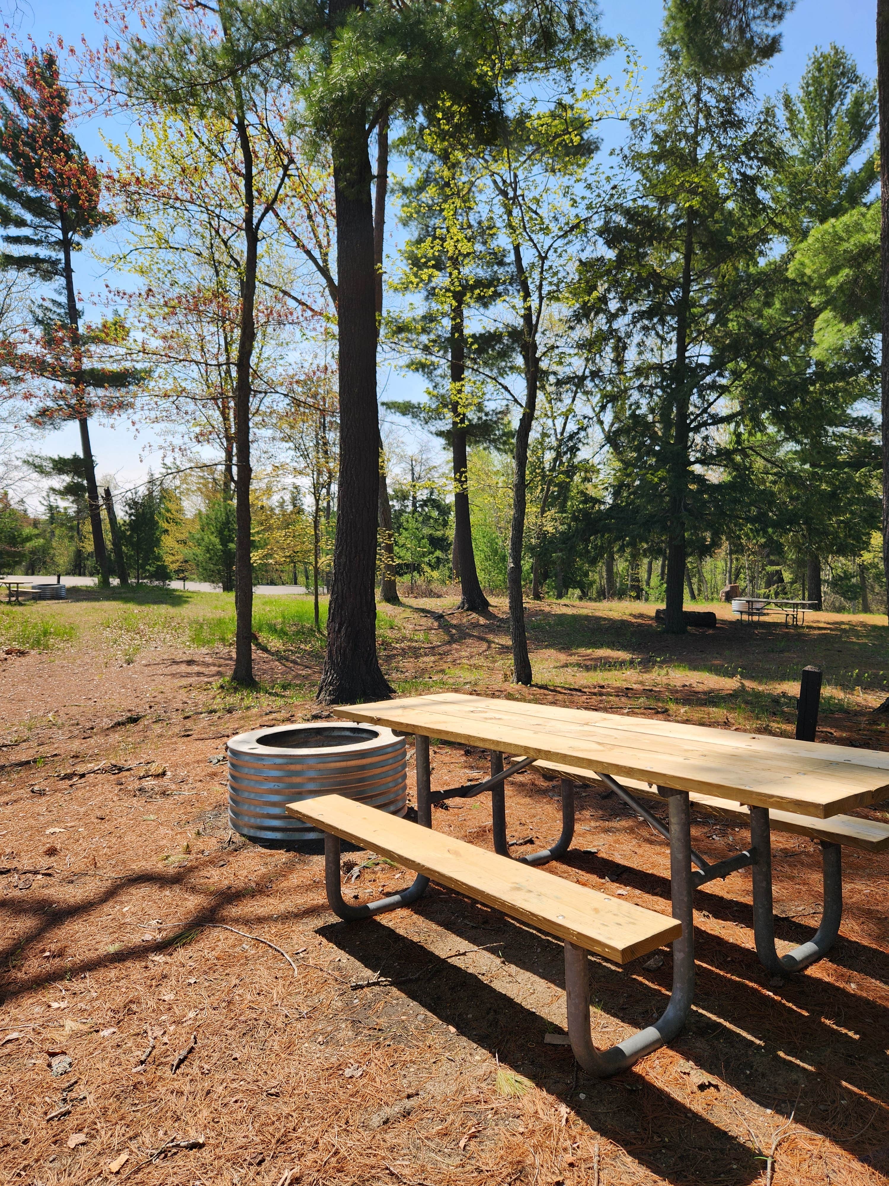 Camper-submitted photo at Lake Margrethe State Forest Campground near Grayling, MI