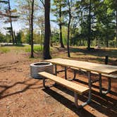 Review photo of Lake Margrethe State Forest Campground by Lydia T., May 21, 2024