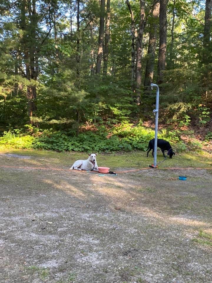 Camper-submitted photo at Lake Michigan At St. Ignace near St. Ignace, MI