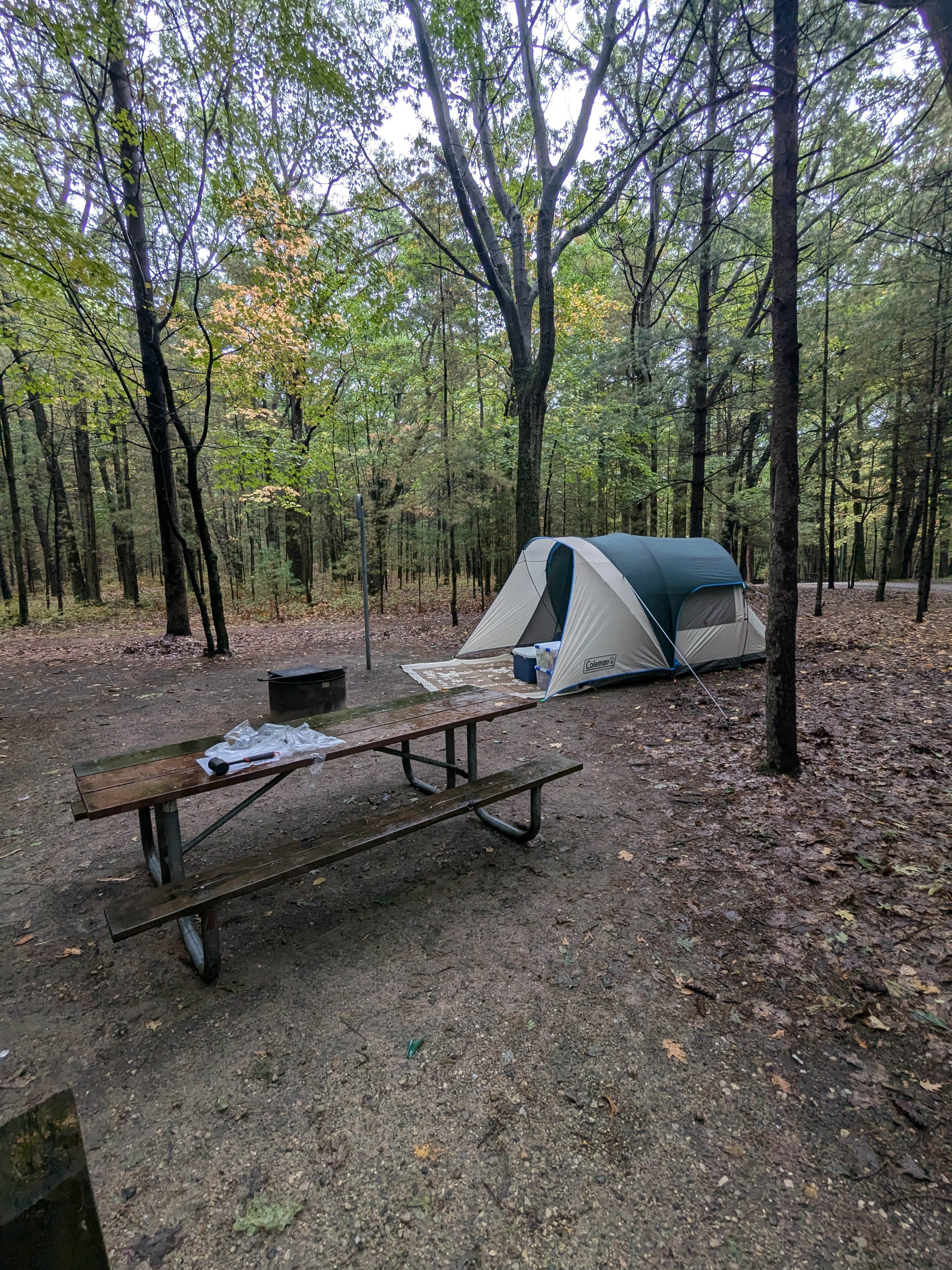 Fern B.'s photo at Lake Michigan Recreation Area near Free Soil, MI