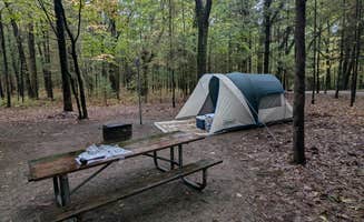 Fern B.'s photo at Lake Michigan Recreation Area near Manistee, MI