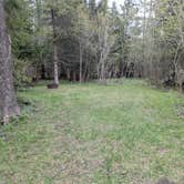 Review photo of Hog Island Point State Forest Campground by Fern B., May 18, 2025
