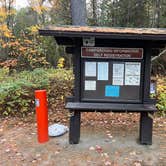 Review photo of Hog Island Point State Forest Campground by Meghan B., October 23, 2025