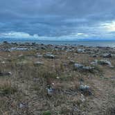Review photo of Hog Island Point State Forest Campground by Meghan B., October 23, 2025