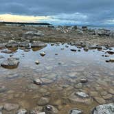 Review photo of Hog Island Point State Forest Campground by Meghan B., October 23, 2025