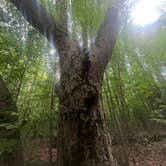 Review photo of Lakeport State Park Campground by Heather H., August 23, 2026