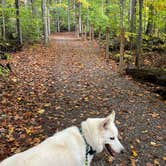 Review photo of Leelanau State Park Campground by Kathie M., October 23, 2025
