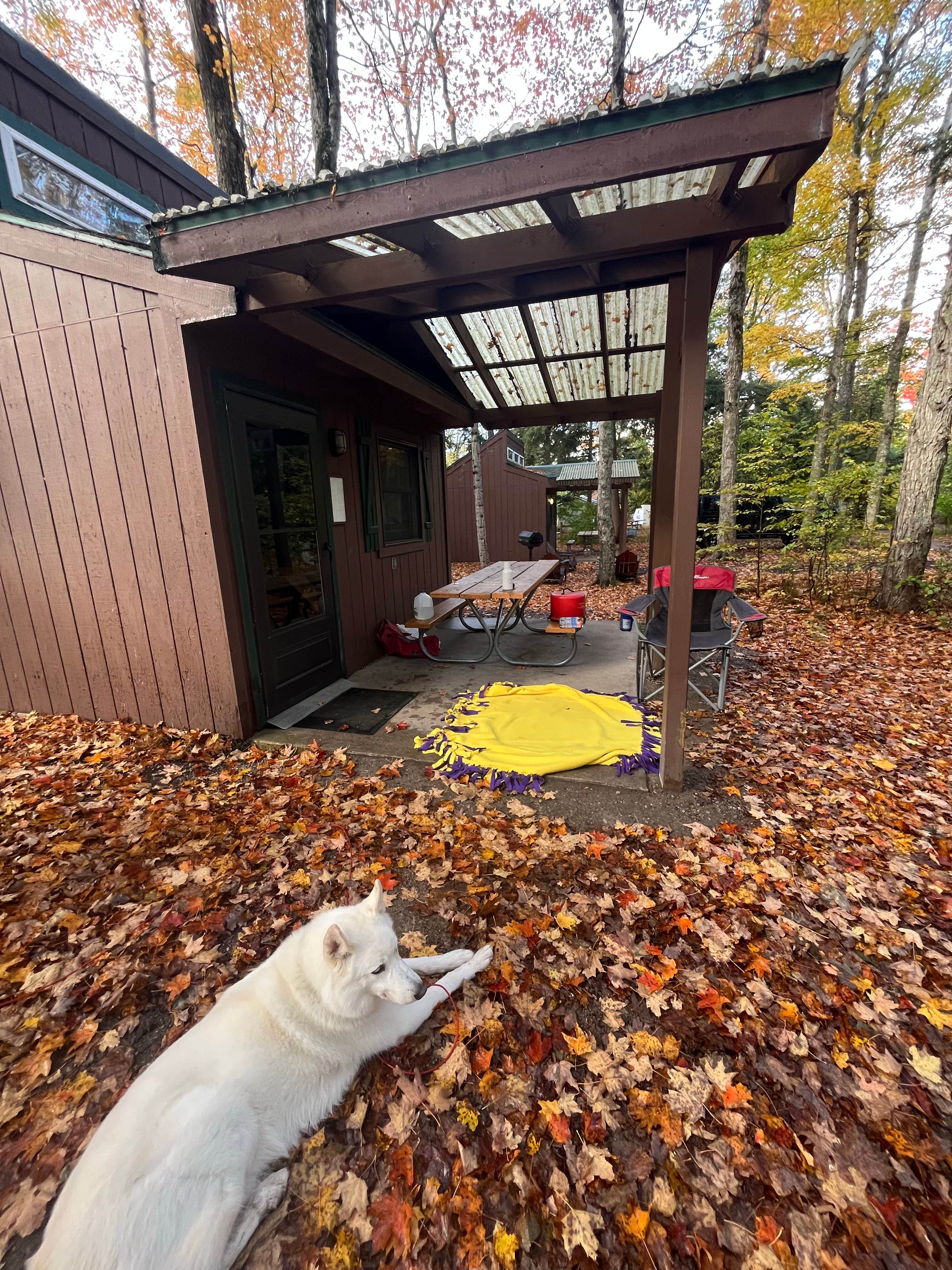 Kathie M.'s photo of camping with pets at Leelanau State Park Campground near Sleeping Bear Dunes National Lakeshore