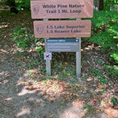Review photo of Little Beaver Lake Campground — Pictured Rocks National Lakeshore by Roger W., October 7, 2023