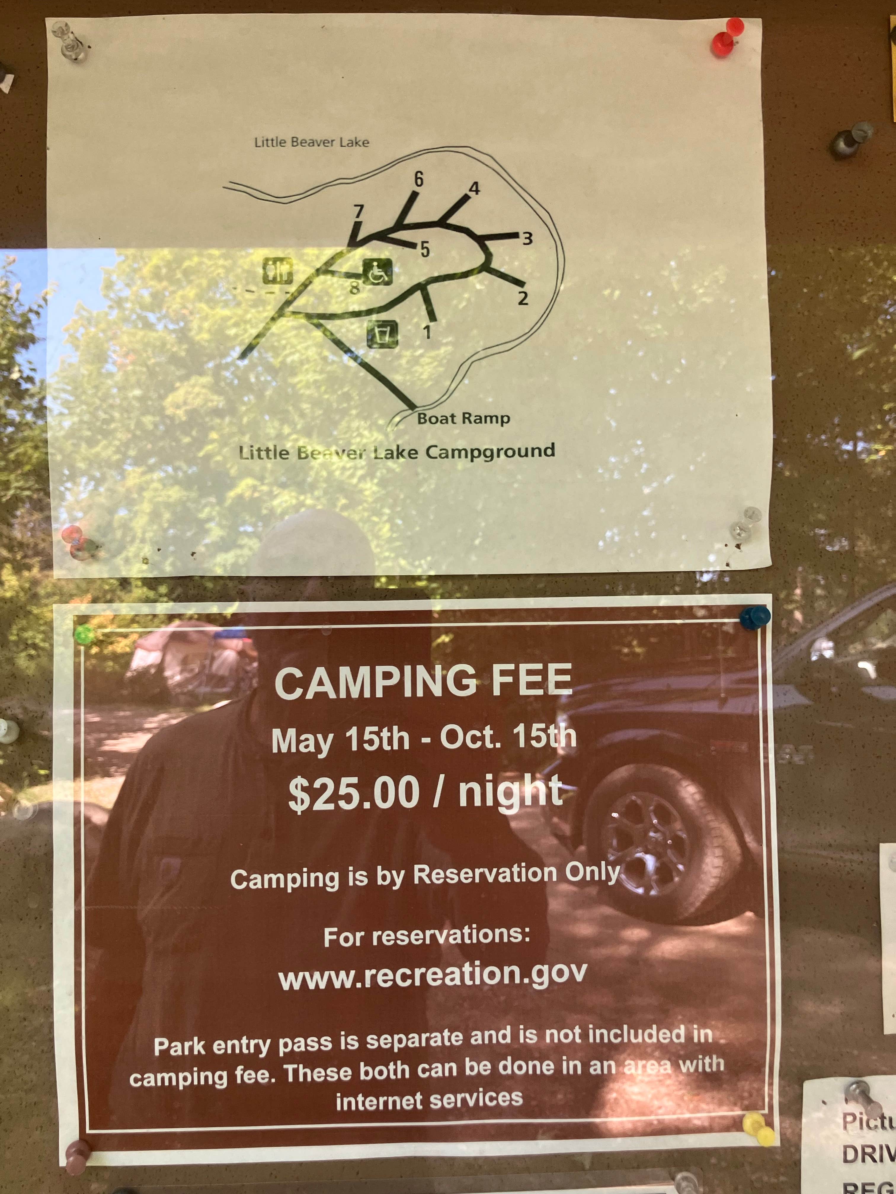 Camper submitted image from Little Beaver Lake Campground — Pictured Rocks National Lakeshore - 5