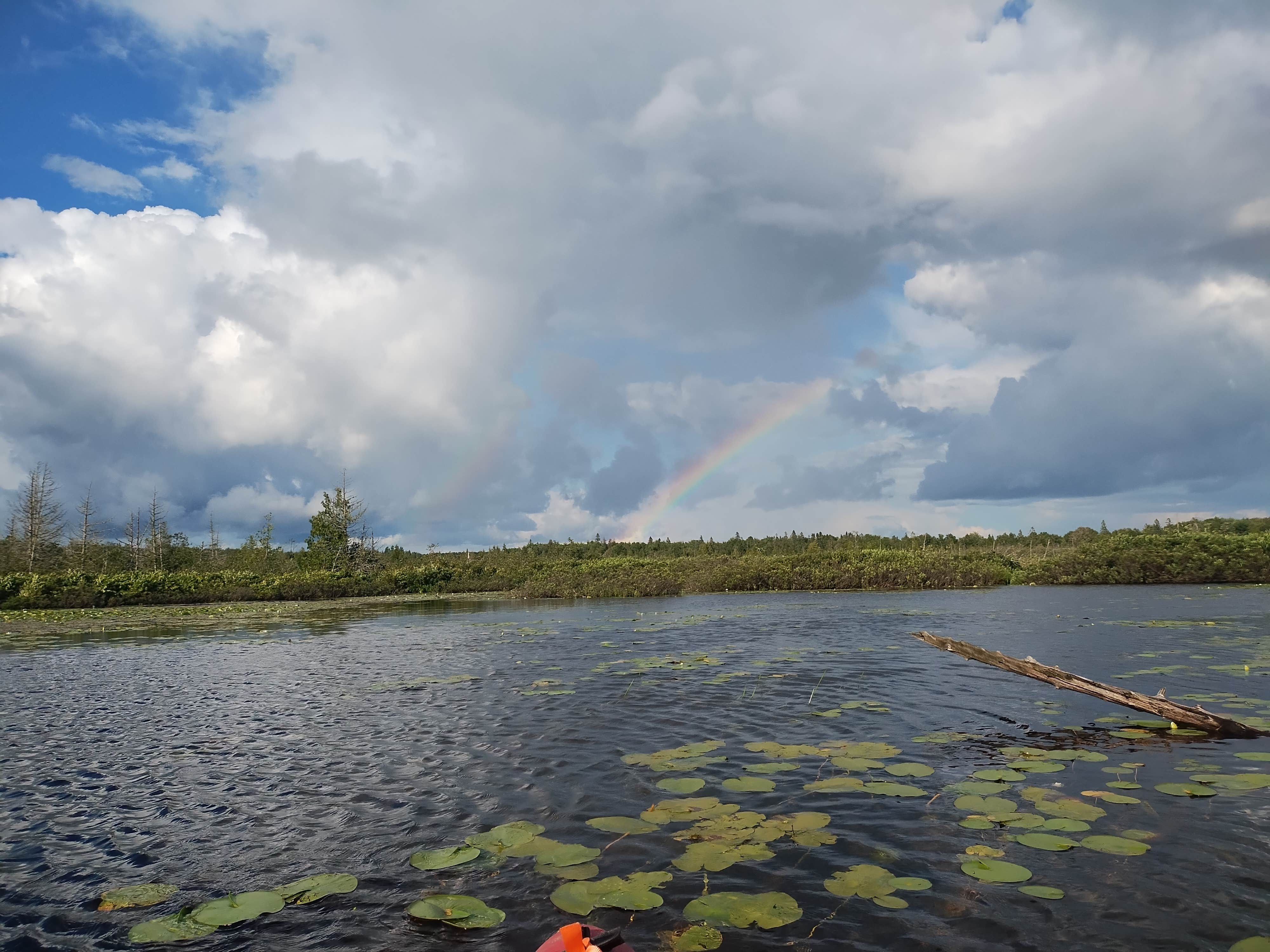 Camper-submitted photo at Little Brevort Lake North State Forest Campground near Beaver Island, MI
