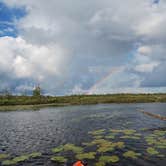 Review photo of Little Brevort Lake North State Forest Campground by Dan H., July 24, 2024