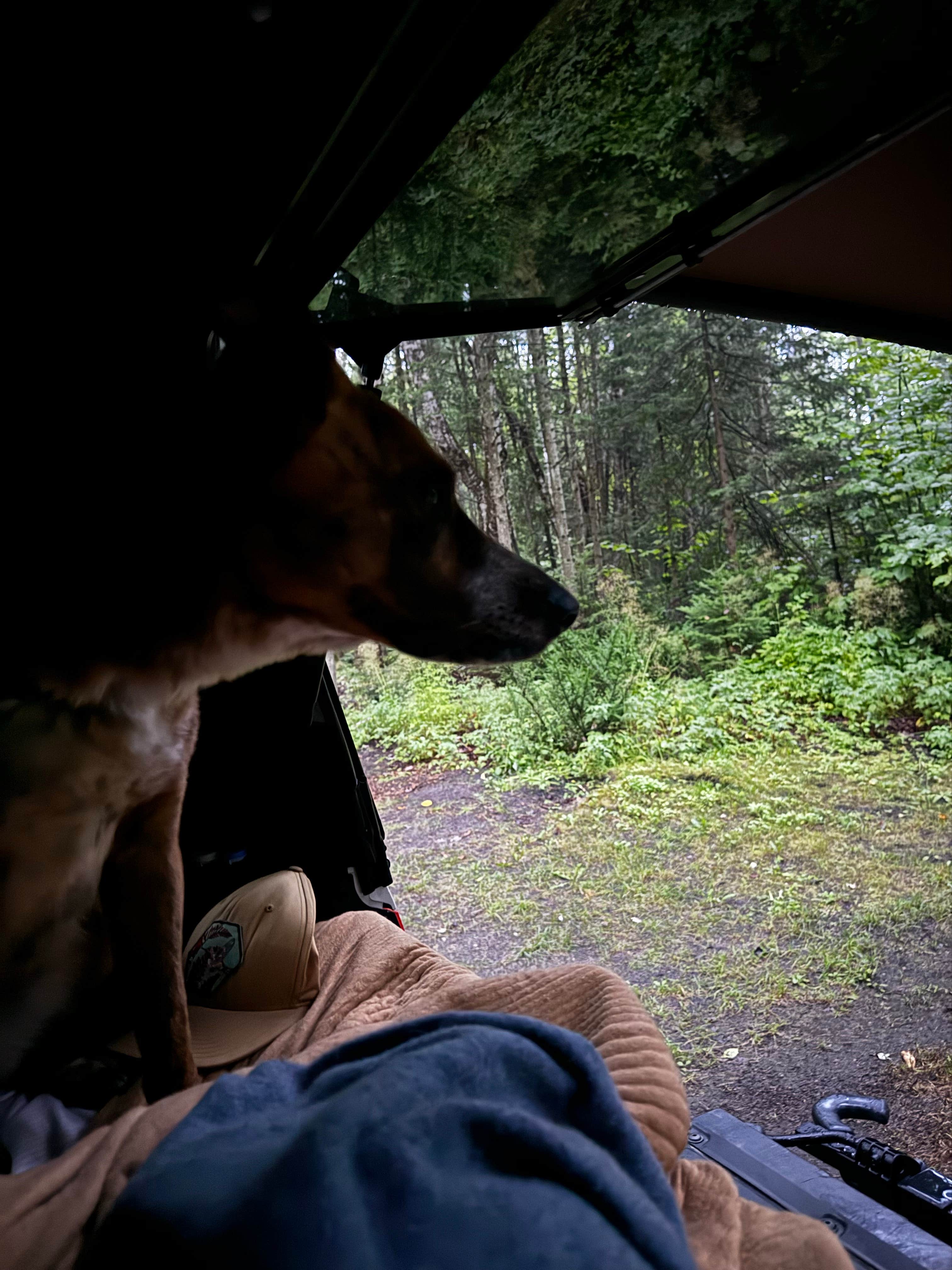 Little Brevort Lake North State Forest Campground