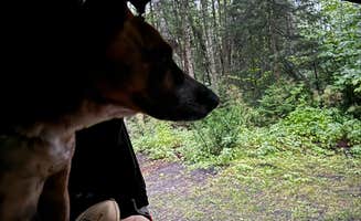 Emmy H.'s photo at Little Brevort Lake North State Forest Campground near Eckerman, MI